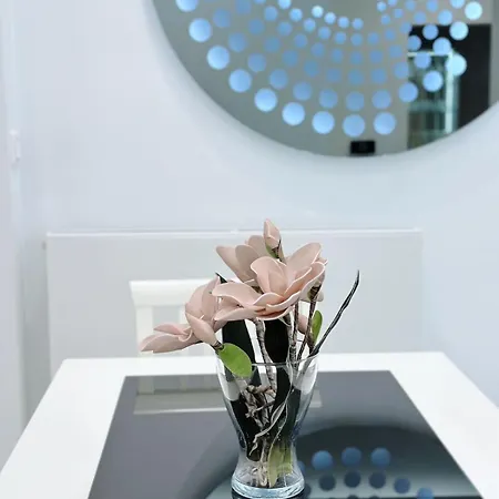 Modern Gorgeous House-1 Apartment *